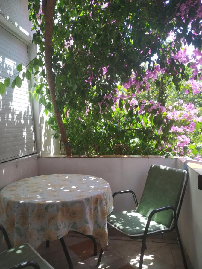 Apartmani Abeona 부드바 외부 사진